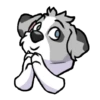 Perro chistoso random 14