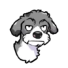 Perro chistoso random 10