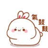 Kelinci gemoy 5