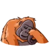 ORANG UTAN telegram GIF🐒 14