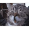 😂•Gifs que Necesitas•😆 7