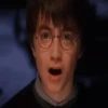 Harry Potter 23