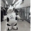VACA Shitpost  12