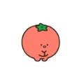 Vegetable n fruit 5
