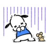 Pochacco 8