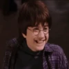 Harry Potter 12