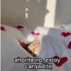 Estoy cansado jefe 😫  5