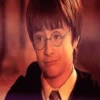 Harry Potter 22