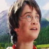 Harry Potter 24