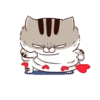 Gatitos divertidos😂 8