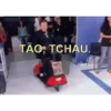 TÃO, TCHAU.