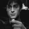 Harry Potter 14