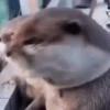E o que ?  10