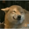 Sukritisdoggo 26