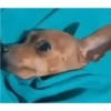FoFuRaS 10