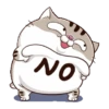 Gatitos divertidos😂 16