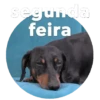 Segunda-Feira 10