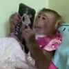 Macaconhildo 10