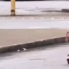 🎵 TIKTOKeando 26🎵 22