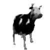 VACA Shitpost  5