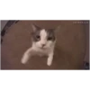 😂•Gifs que Necesitas•😆 11
