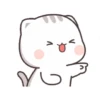 KUCING GILA 8