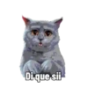 🐱🐈‍⬛🐈 Michis 🐈🐈‍⬛🐱 8