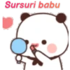 Sadsuks 16
