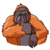 ORANG UTAN telegram GIF🐒 12