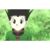 Gon 10