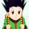 Gon 11