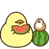 Anak ayam GIFs 8