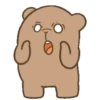 Coco Bear 9