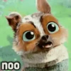 noo