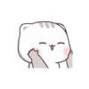 KUCING GILA 13