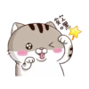 Gatitos divertidos😂 12