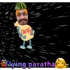 SWAG Flying parathame