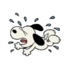 Snoopy 🐾🤍 12
