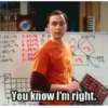 Big Bang Theory 11
