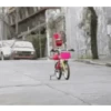 31 MINUTOS Gio 6
