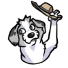 Perro chistoso random 18
