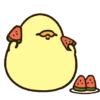 Anak ayam GIFs 6