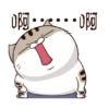 Gatitos divertidos😂 13