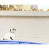 Animados Gifs Pets 20