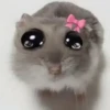 Animalito gracioso 6