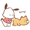 Pochacco 29