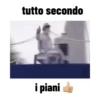Edamame.in.movimento 5