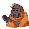 ORANG UTAN telegram GIF🐒 5
