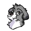 Perro chistoso random 12