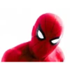 Homem aranha 🕷️🕸️ 7